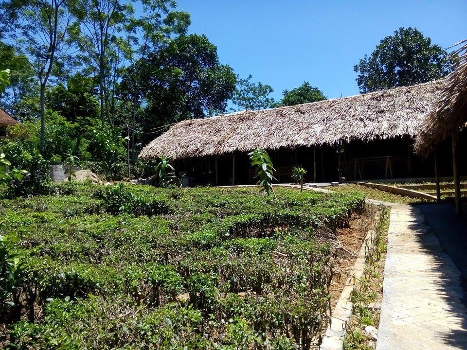 Family Homestay Ba Vi Quarto foto