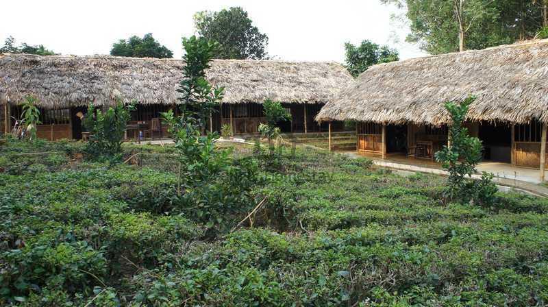Family Homestay Ba Vi Quarto foto